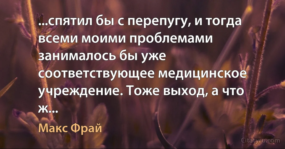 ...спятил бы с перепугу, и тогда всеми моими проблемами занималось бы уже соответствующее медицинское учреждение. Тоже выход, а что ж... (Макс Фрай)