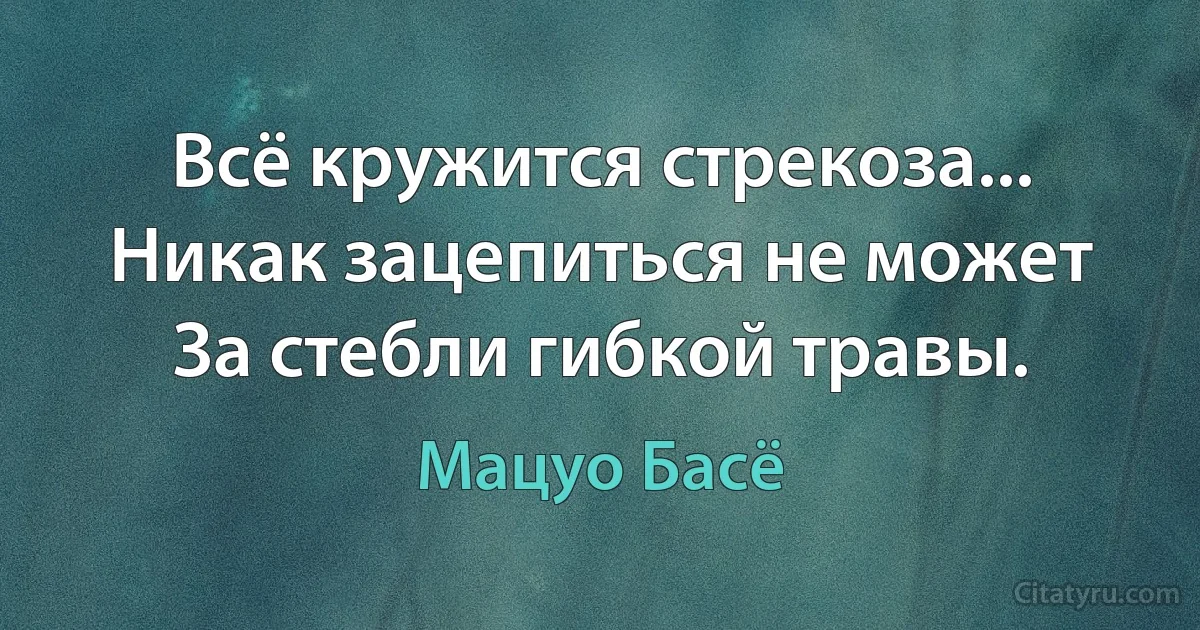 Всё кружится стрекоза...
Никак зацепиться не может
За стебли гибкой травы. (Мацуо Басё)