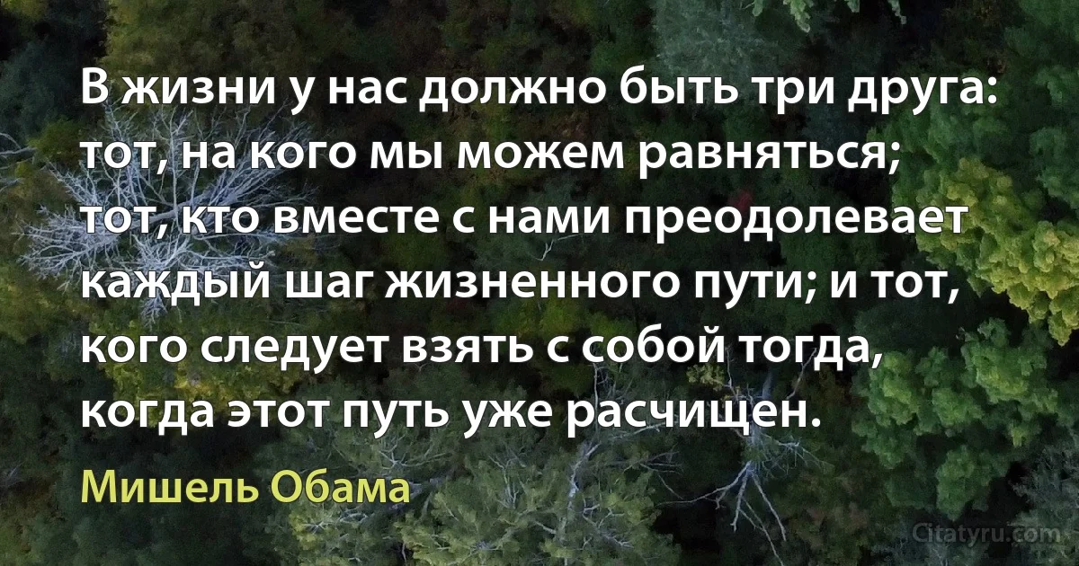 В жизни у нас должно быть три друга: тот, на кого мы можем равняться; тот, кто вместе с нами преодолевает каждый шаг жизненного пути; и тот, кого следует взять с собой тогда, когда этот путь уже расчищен. (Мишель Обама)