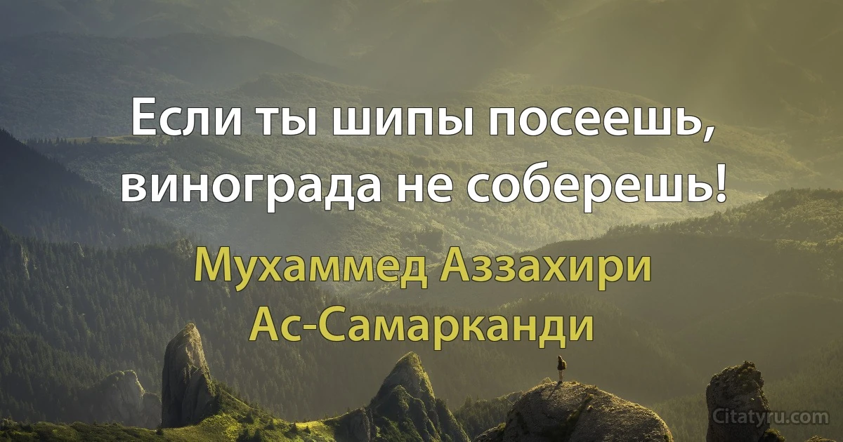 Если ты шипы посеешь, винограда не соберешь! (Мухаммед Аззахири Ас-Самарканди)