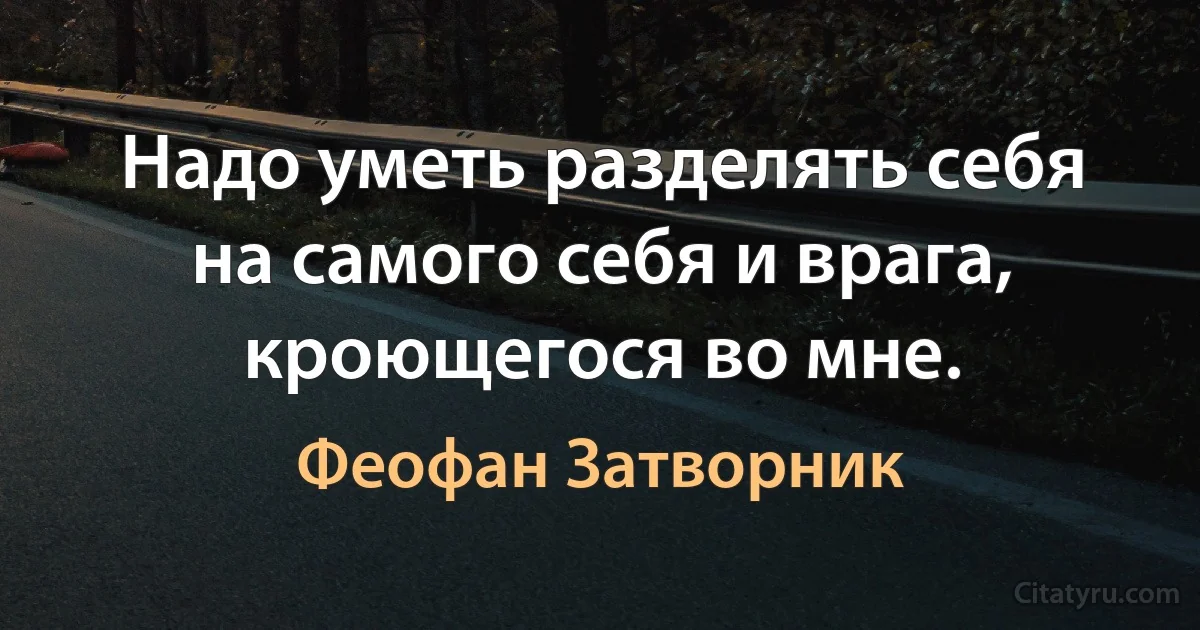 Надо уметь разделять себя на самого себя и врага, кроющегося во мне. (Феофан Затворник)