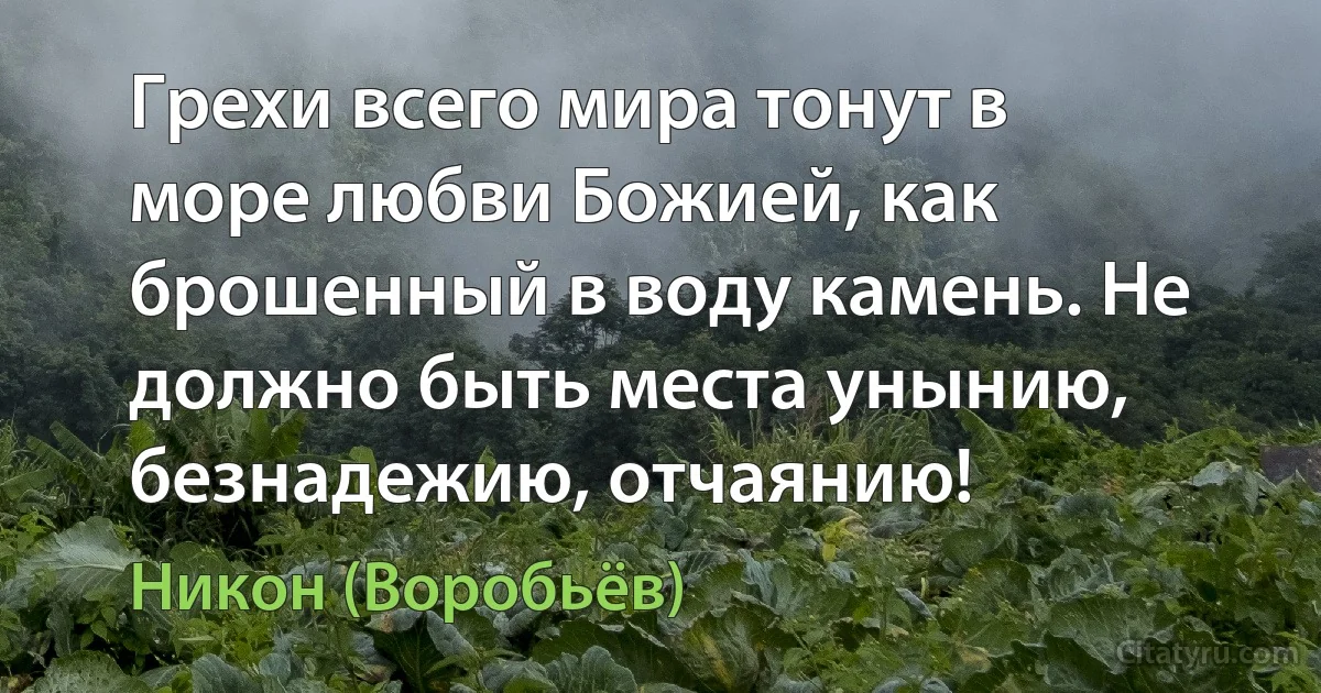 Грехи всего мира тонут в море любви Божией, как брошенный в воду камень. Не должно быть места унынию, безнадежию, отчаянию! (Никон (Воробьёв))