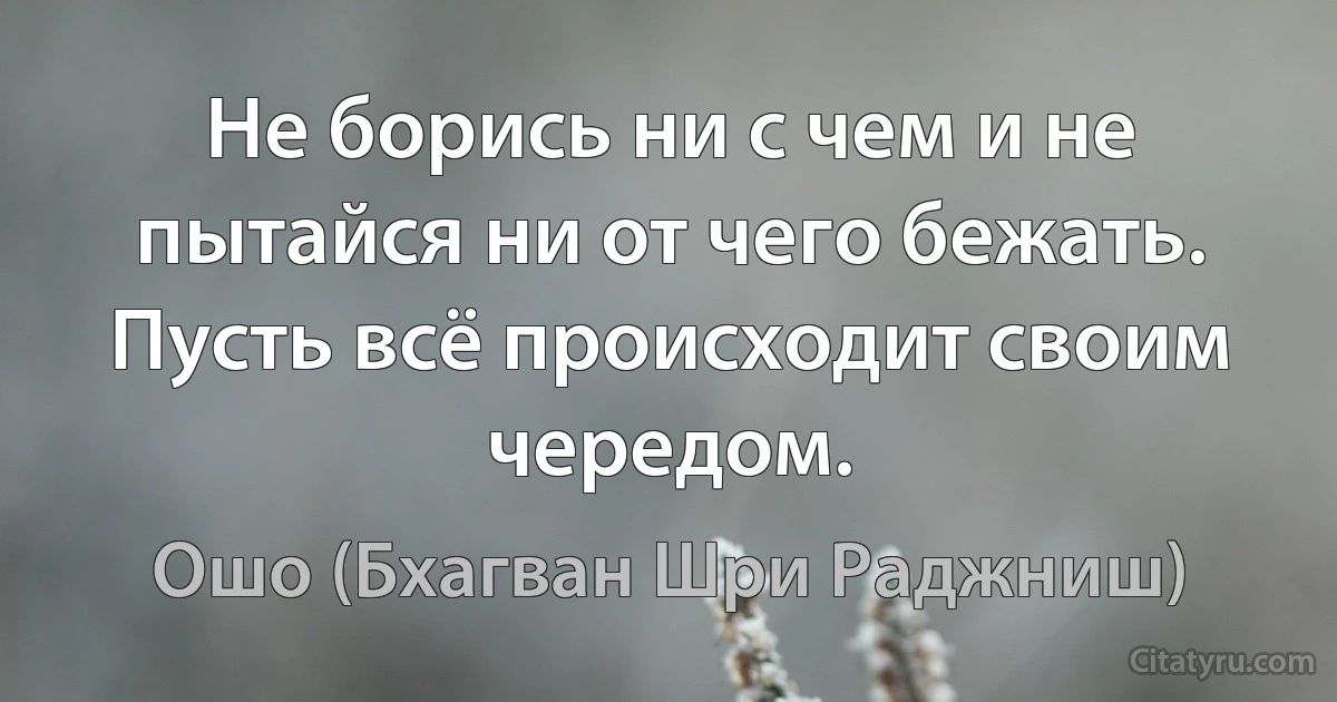 Не борись ни с чем и не пытайся ни от чего бежать.
Пусть всё происходит своим чередом. (Ошо (Бхагван Шри Раджниш))