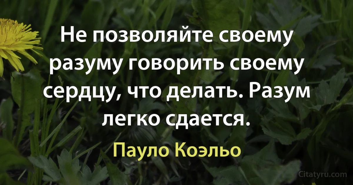 Не позволяйте своему разуму говорить своему сердцу, что делать. Разум легко сдается. (Пауло Коэльо)