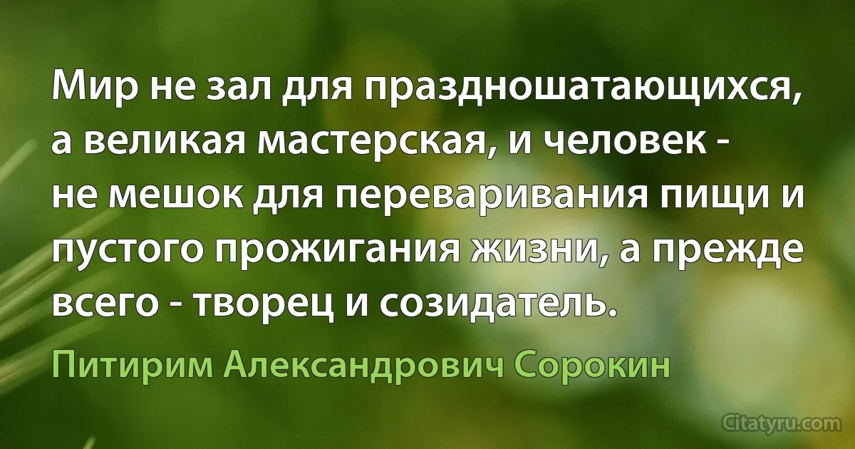 Мир не зал для праздношатающихся, а великая мастерская, и человек - не мешок для переваривания пищи и пустого прожигания жизни, а прежде всего - творец и созидатель. (Питирим Александрович Сорокин)