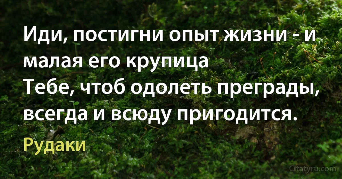 Иди, постигни опыт жизни - и малая его крупица
Тебе, чтоб одолеть преграды, всегда и всюду пригодится. (Рудаки)