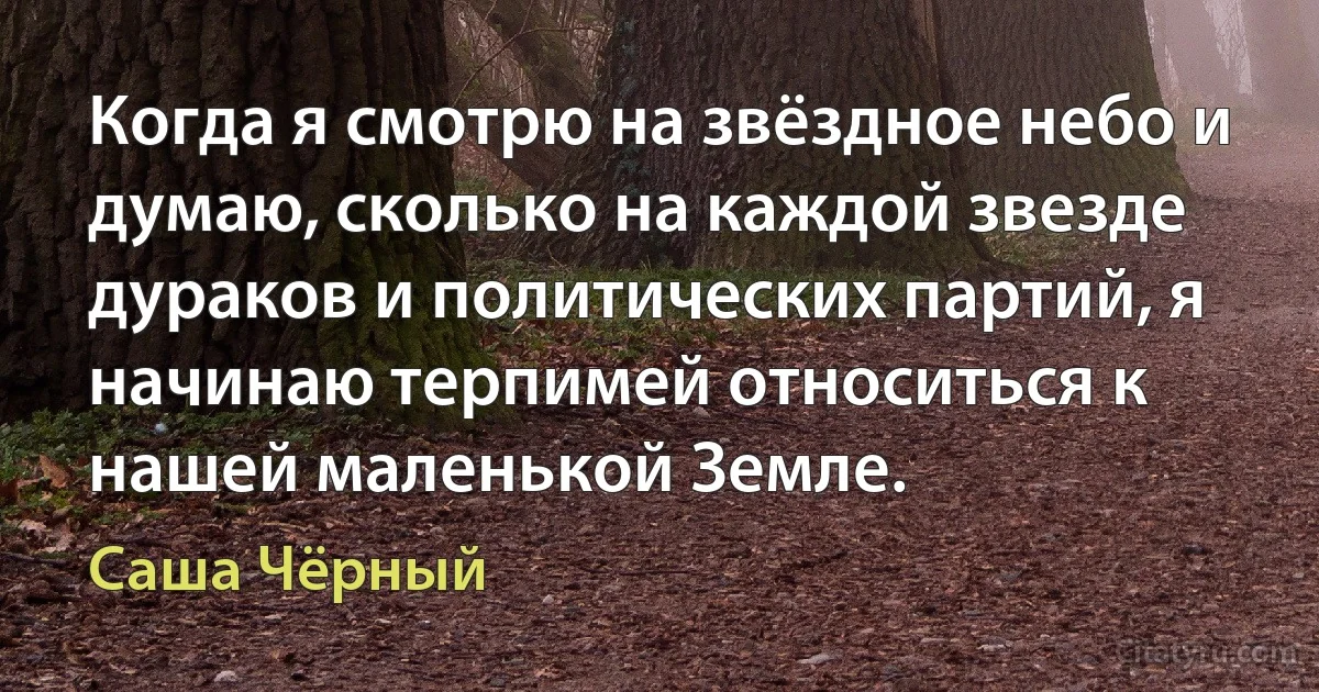 Когда я смотрю на звёздное небо и думаю, сколько на каждой звезде дураков и политических партий, я начинаю терпимей относиться к нашей маленькой Земле. (Саша Чёрный)