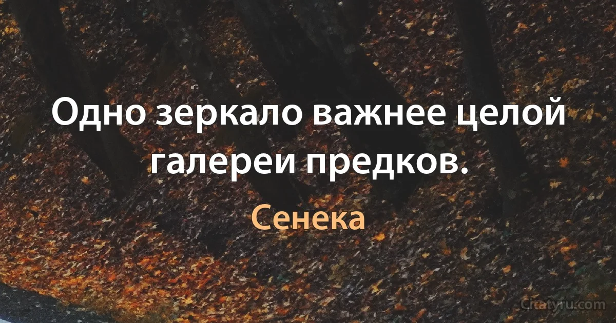 Одно зеркало важнее целой галереи предков. (Сенека)