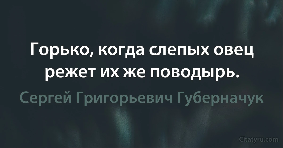 Горько, когда слепых овец режет их же поводырь. (Сергей Григорьевич Губерначук)