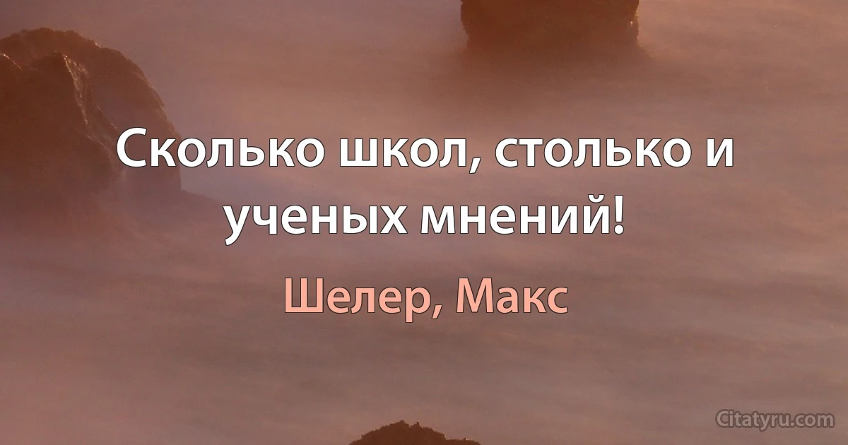 Сколько школ, столько и ученых мнений! (Шелер, Макс)