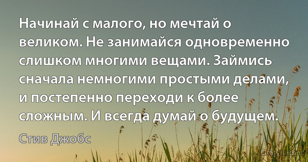 Начинай с малого, но мечтай о великом. Не занимайся одновременно слишком многими вещами. Займись сначала немногими простыми делами, и постепенно переходи к более сложным. И всегда думай о будущем. (Стив Джобс)