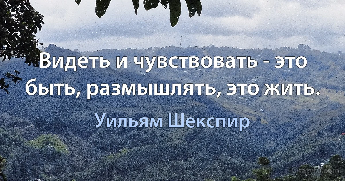 Видеть и чувствовать - это быть, размышлять, это жить. (Уильям Шекспир)