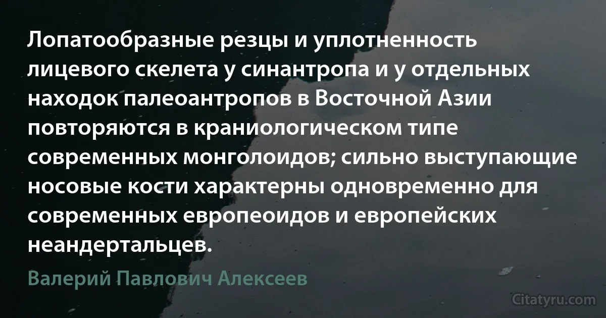 Лопатообразные резцы и уплотненность лицевого скелета у синантропа и у отдельных находок палеоантропов в Восточной Азии повторяются в краниологическом типе современных монголоидов; сильно выступающие носовые кости характерны одновременно для современных европеоидов и европейских неандертальцев. (Валерий Павлович Алексеев)