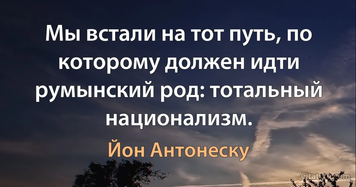 Мы встали на тот путь, по которому должен идти румынский род: тотальный национализм. (Йон Антонеску)