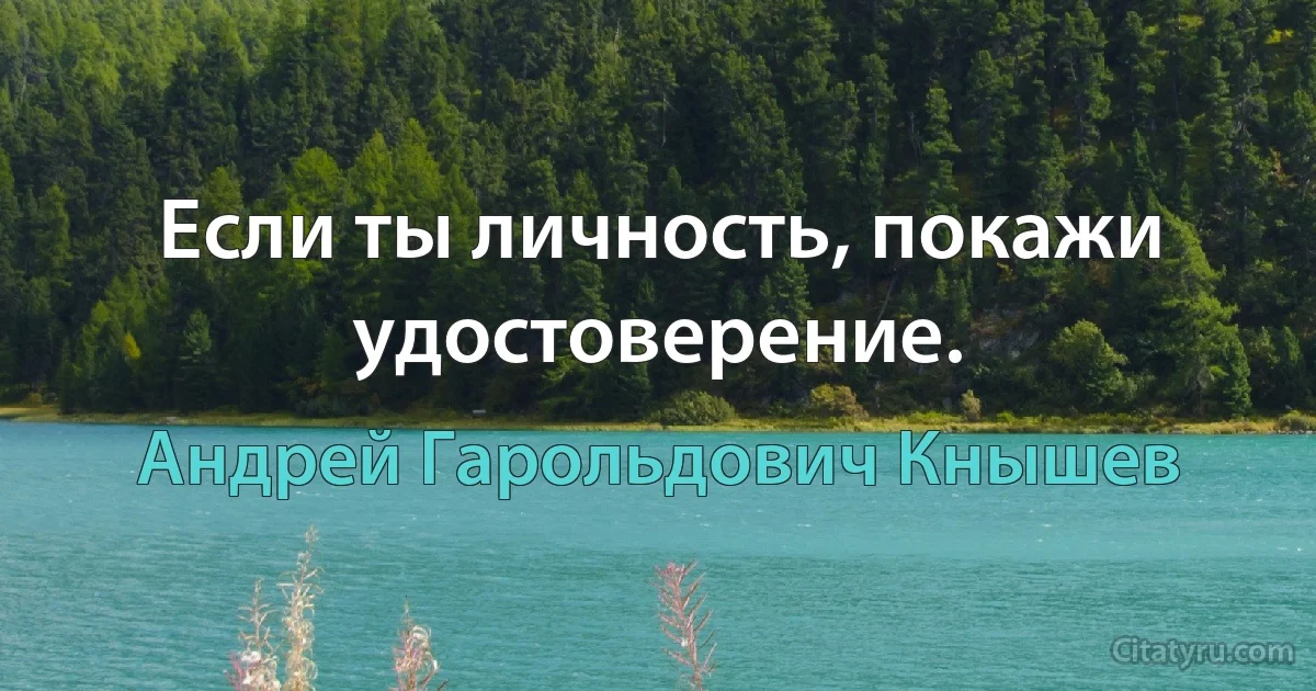 Если ты личность, покажи удостоверение. (Андрей Гарольдович Кнышев)