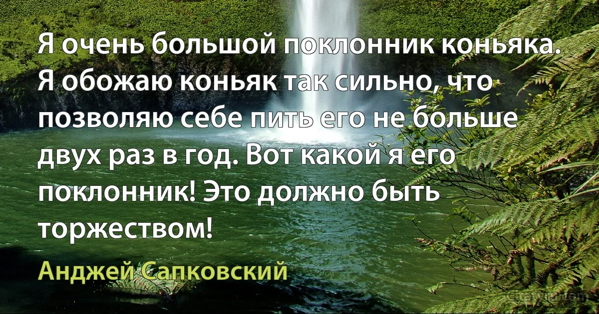 Я очень большой поклонник коньяка. Я обожаю коньяк так сильно, что позволяю себе пить его не больше двух раз в год. Вот какой я его поклонник! Это должно быть торжеством! (Анджей Сапковский)