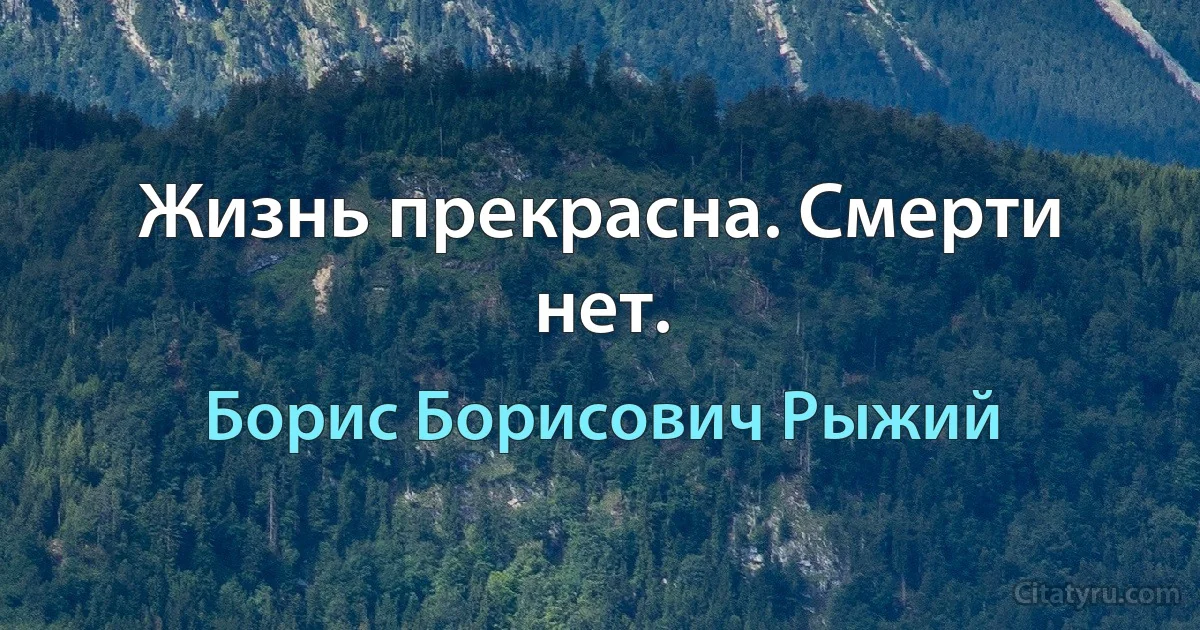 Жизнь прекрасна. Смерти нет. (Борис Борисович Рыжий)