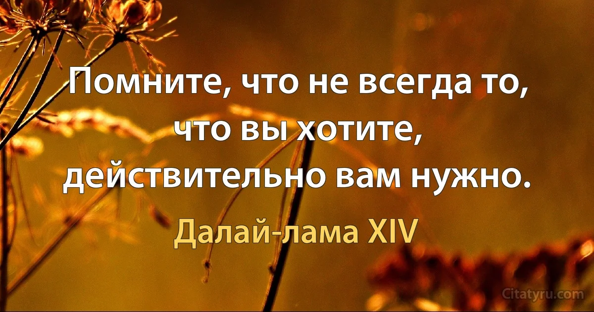 Помните, что не всегда то, что вы хотите, действительно вам нужно. (Далай-лама XIV)