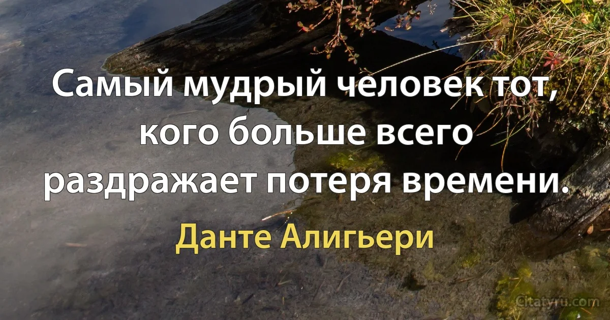 Самый мудрый человек тот, кого больше всего раздражает потеря времени. (Данте Алигьери)