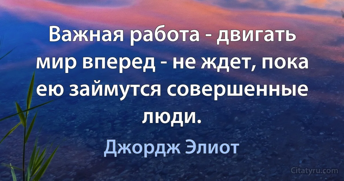 Важная работа - двигать мир вперед - не ждет, пока ею займутся совершенные люди. (Джордж Элиот)