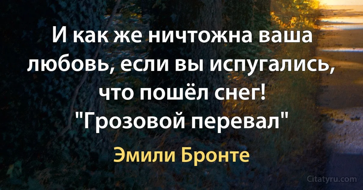 И как же ничтожна ваша любовь, если вы испугались, что пошёл снег!
"Грозовой перевал" (Эмили Бронте)