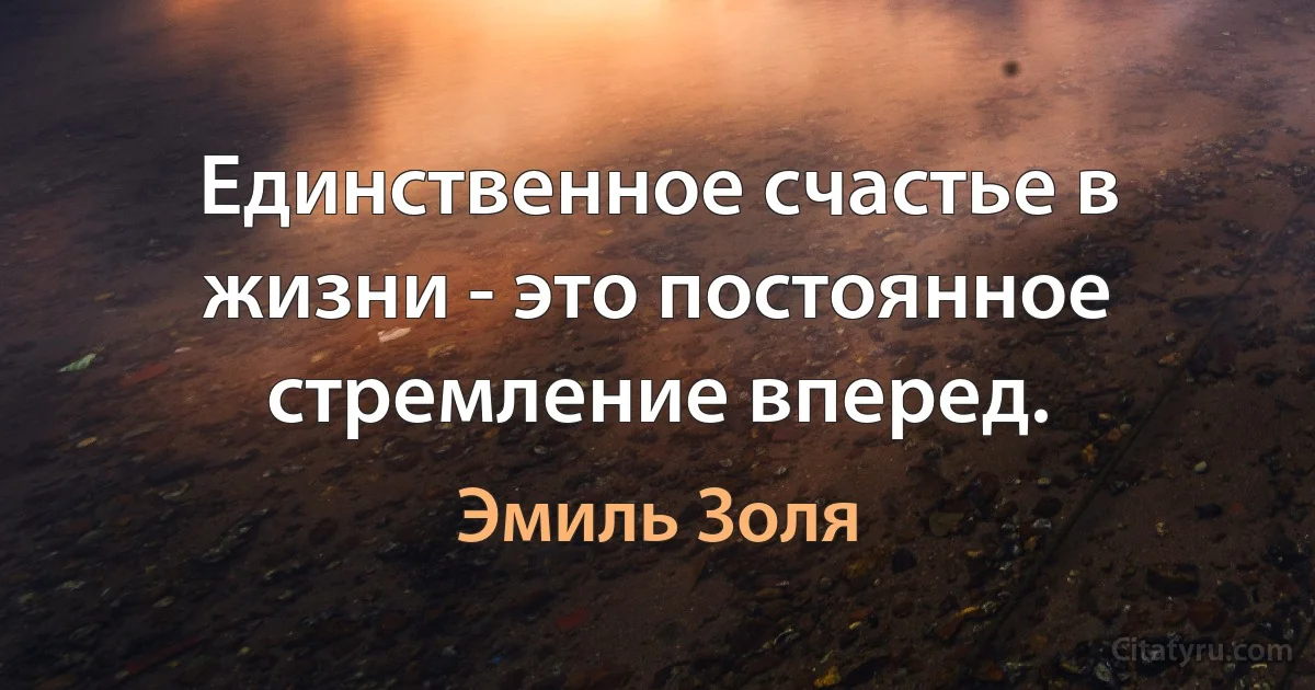 Единственное счастье в жизни - это постоянное стремление вперед. (Эмиль Золя)