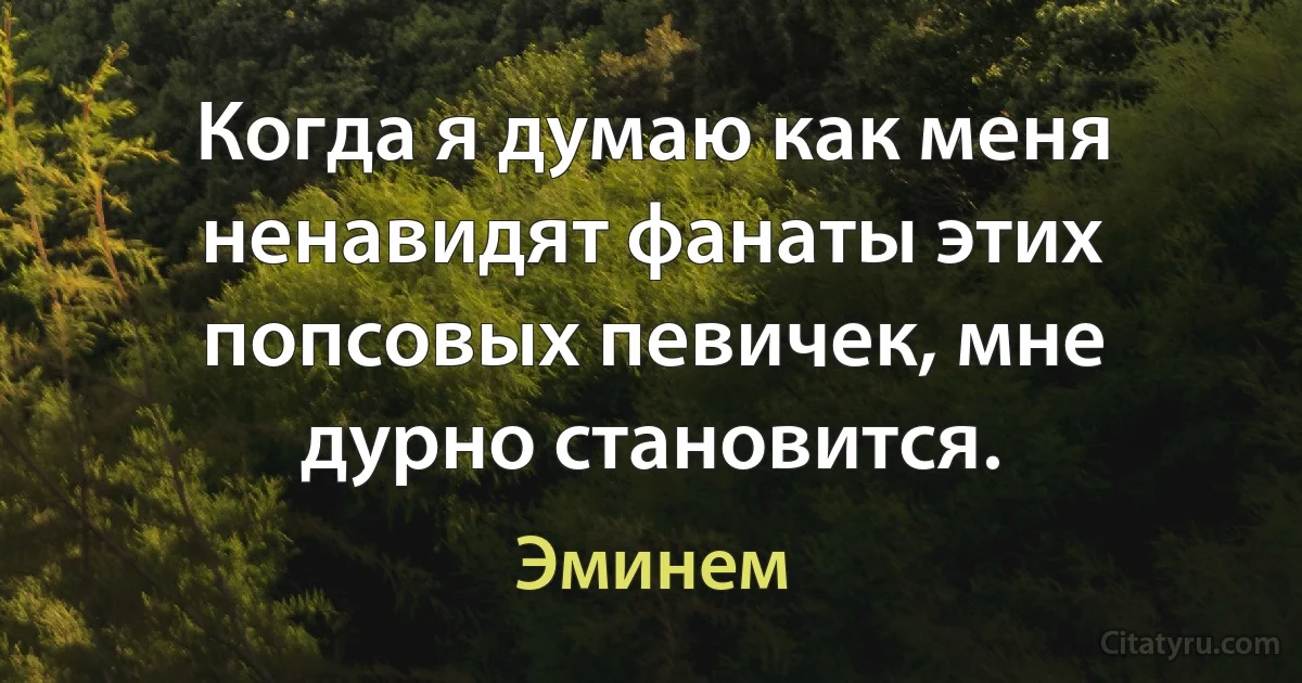 Когда я думаю как меня ненавидят фанаты этих попсовых певичек, мне дурно становится. (Эминем)