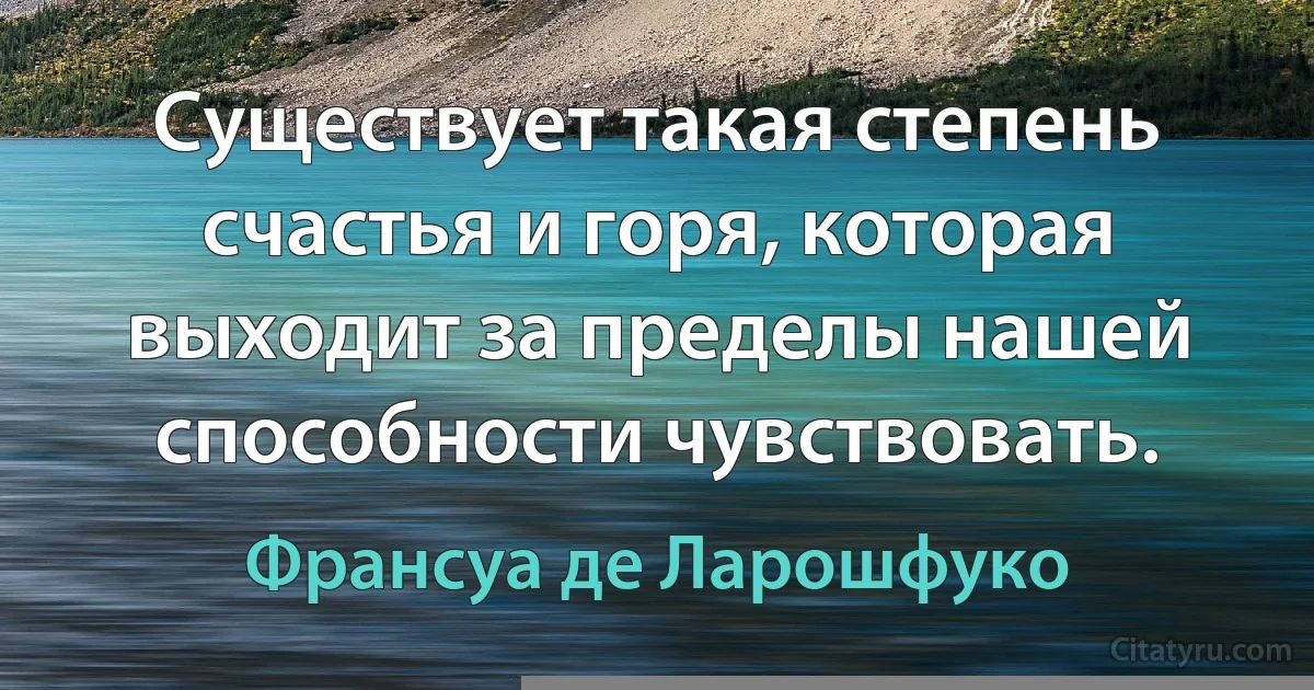 Существует такая степень счастья и горя, которая выходит за пределы нашей способности чувствовать. (Франсуа де Ларошфуко)