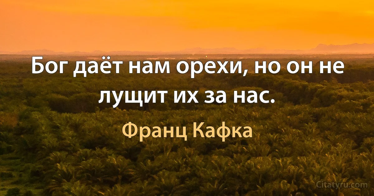 Бог даёт нам орехи, но он не лущит их за нас. (Франц Кафка)