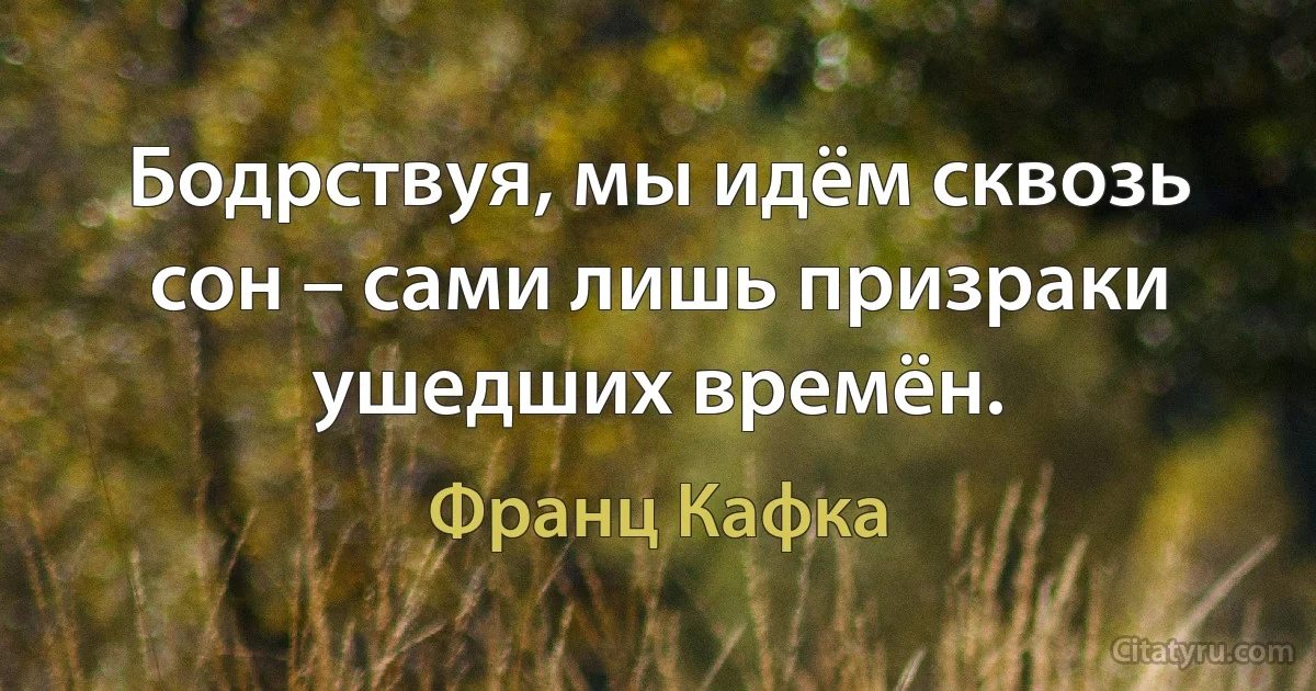 Бодрствуя, мы идём сквозь сон – сами лишь призраки ушедших времён. (Франц Кафка)