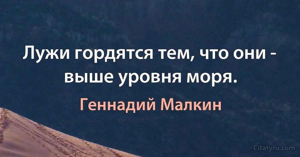 Лужи гордятся тем, что они - выше уровня моря. (Геннадий Малкин)