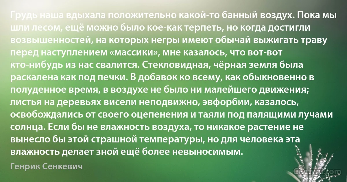 Грудь наша вдыхала положительно какой-то банный воздух. Пока мы шли лесом, ещё можно было кое-как терпеть, но когда достигли возвышенностей, на которых негры имеют обычай выжигать траву перед наступлением «массики», мне казалось, что вот-вот кто-нибудь из нас свалится. Стекловидная, чёрная земля была раскалена как под печки. В добавок ко всему, как обыкновенно в полуденное время, в воздухе не было ни малейшего движения; листья на деревьях висели неподвижно, эвфорбии, казалось, освобождались от своего оцепенения и таяли под палящими лучами солнца. Если бы не влажность воздуха, то никакое растение не вынесло бы этой страшной температуры, но для человека эта влажность делает зной ещё более невыносимым. (Генрик Сенкевич)