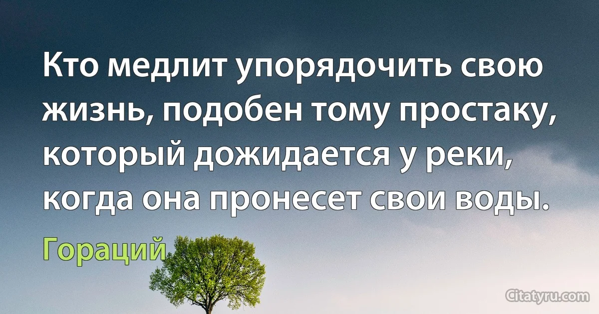 Кто медлит упорядочить свою жизнь, подобен тому простаку, который дожидается у реки, когда она пронесет свои воды. (Гораций)