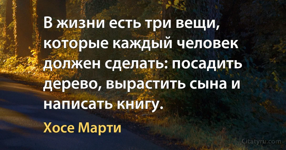 В жизни есть три вещи, которые каждый человек должен сделать: посадить дерево, вырастить сына и написать книгу. (Хосе Марти)