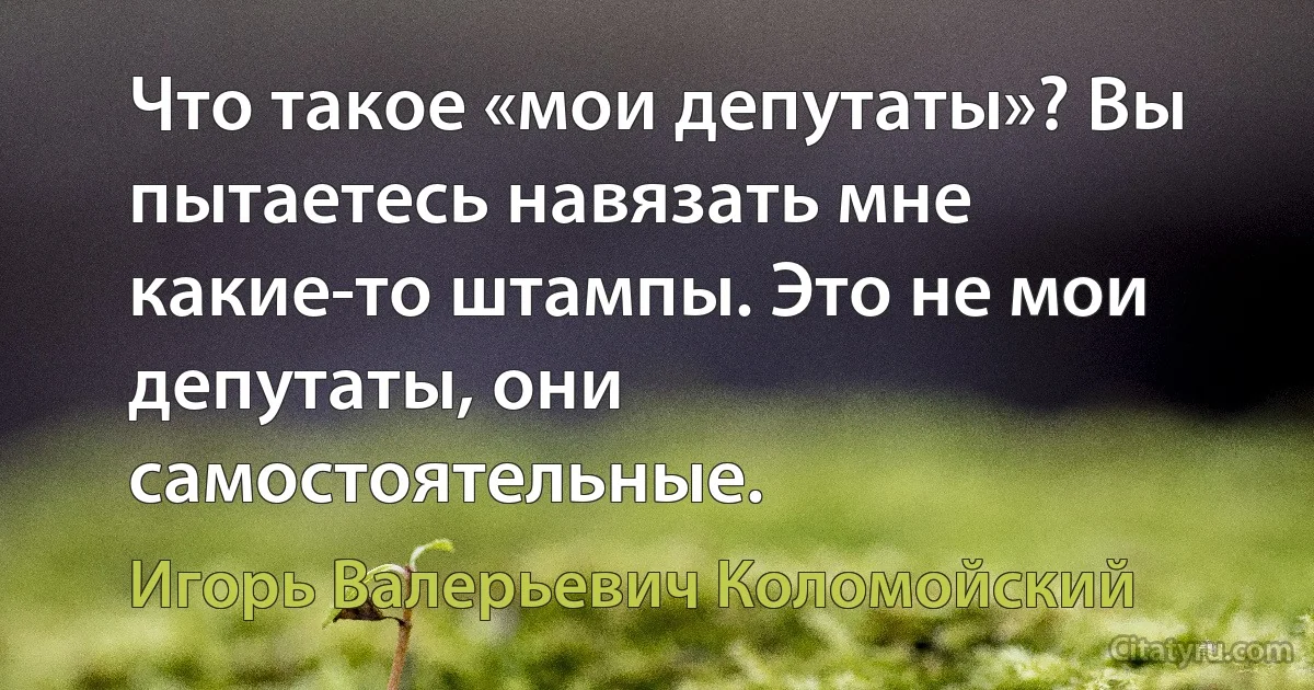 Что такое «мои депутаты»? Вы пытаетесь навязать мне какие-то штампы. Это не мои депутаты, они самостоятельные. (Игорь Валерьевич Коломойский)