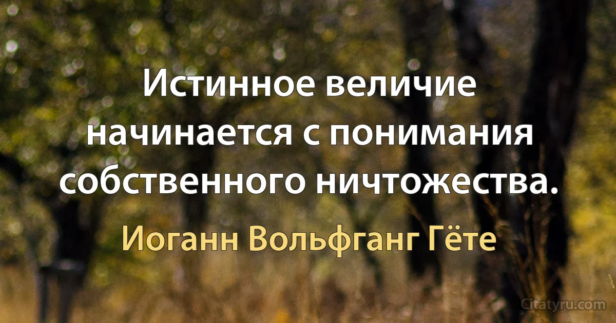 Истинное величие начинается с понимания собственного ничтожества. (Иоганн Вольфганг Гёте)