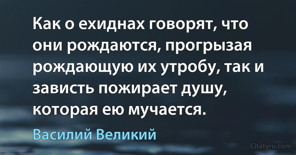 Как о ехиднах говорят, что они рождаются, прогрызая рождающую их утробу, так и зависть пожирает душу, которая ею мучается. (Василий Великий)