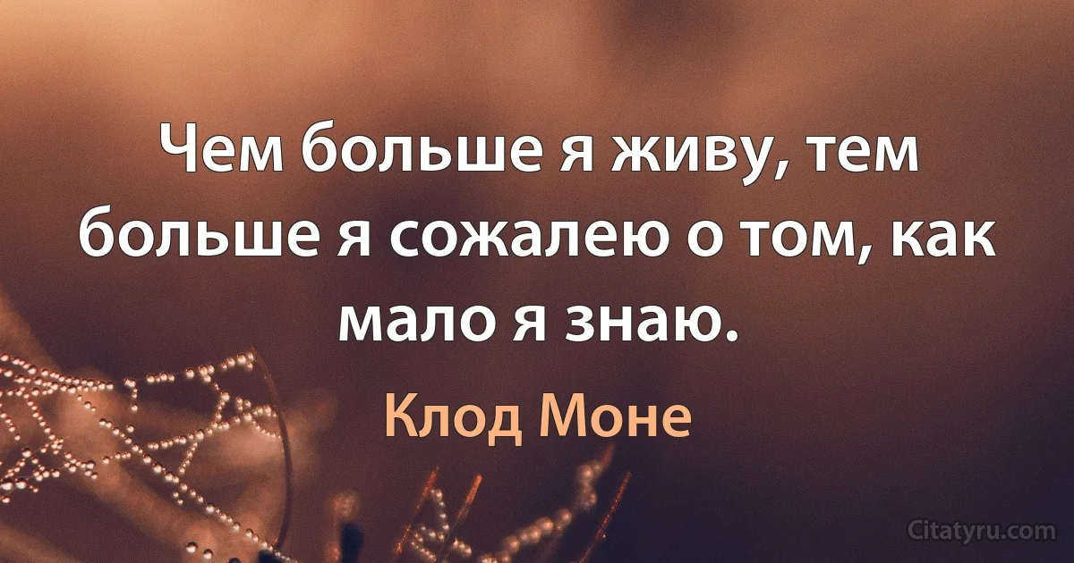 Чем больше я живу, тем больше я сожалею о том, как мало я знаю. (Клод Моне)