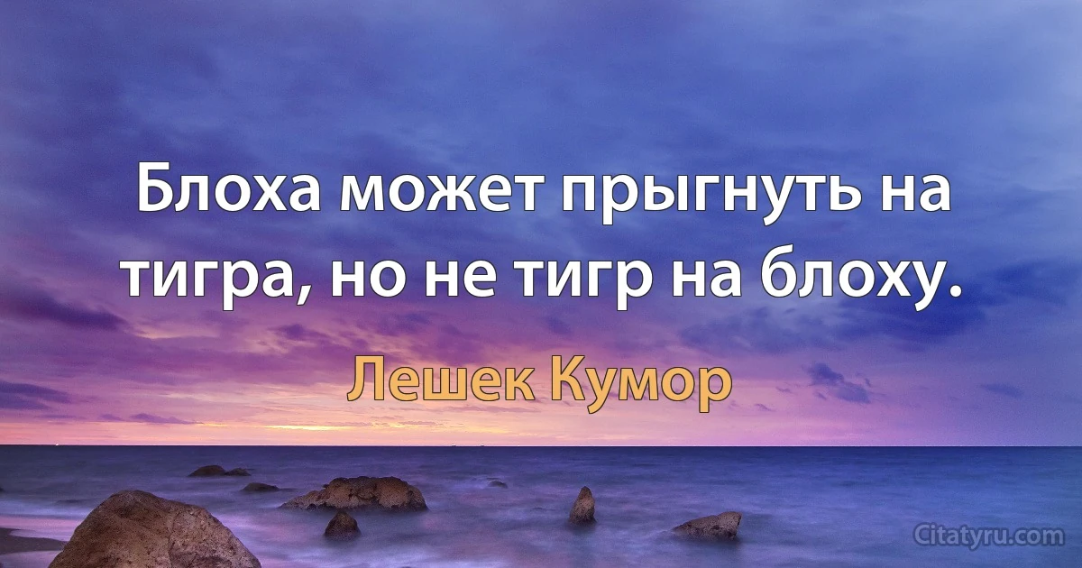 Блоха может прыгнуть на тигра, но не тигр на блоху. (Лешек Кумор)