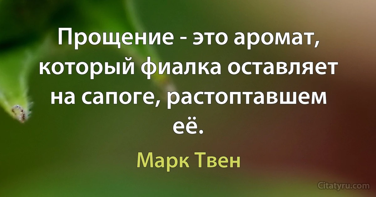 Прощение - это аромат, который фиалка оставляет на сапоге, растоптавшем её. (Марк Твен)