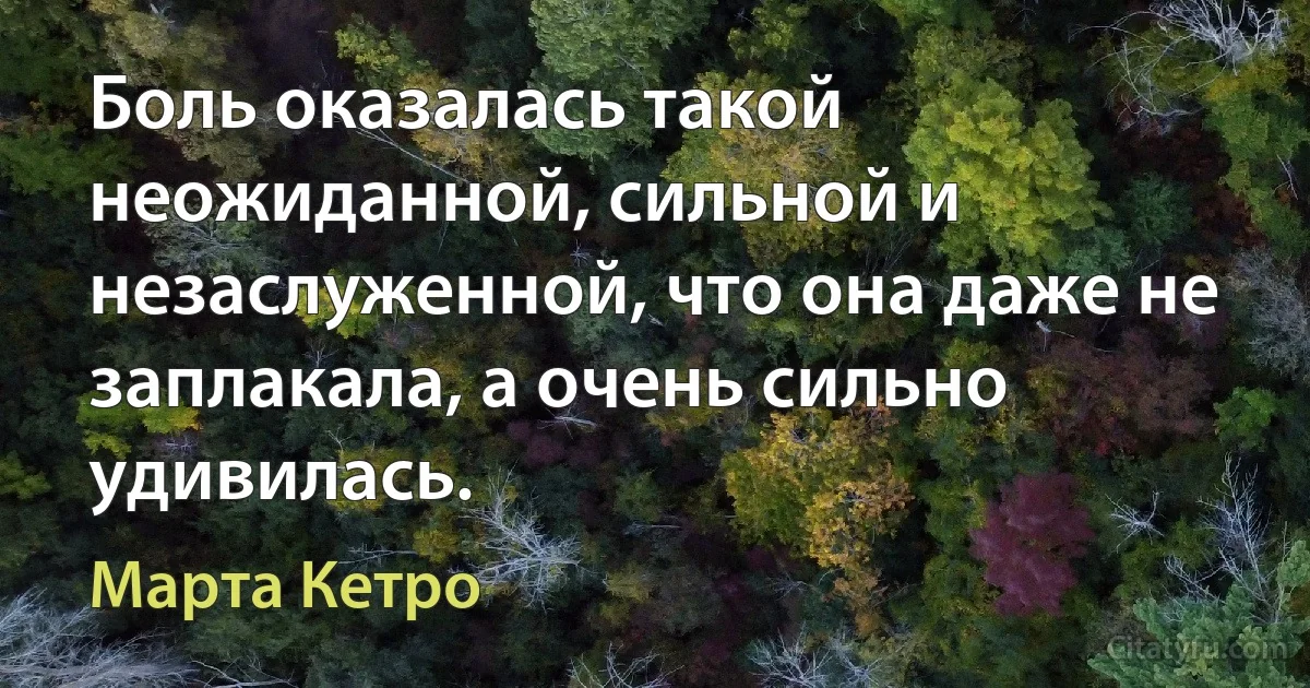 Боль оказалась такой неожиданной, сильной и незаслуженной, что она даже не заплакала, а очень сильно удивилась. (Марта Кетро)