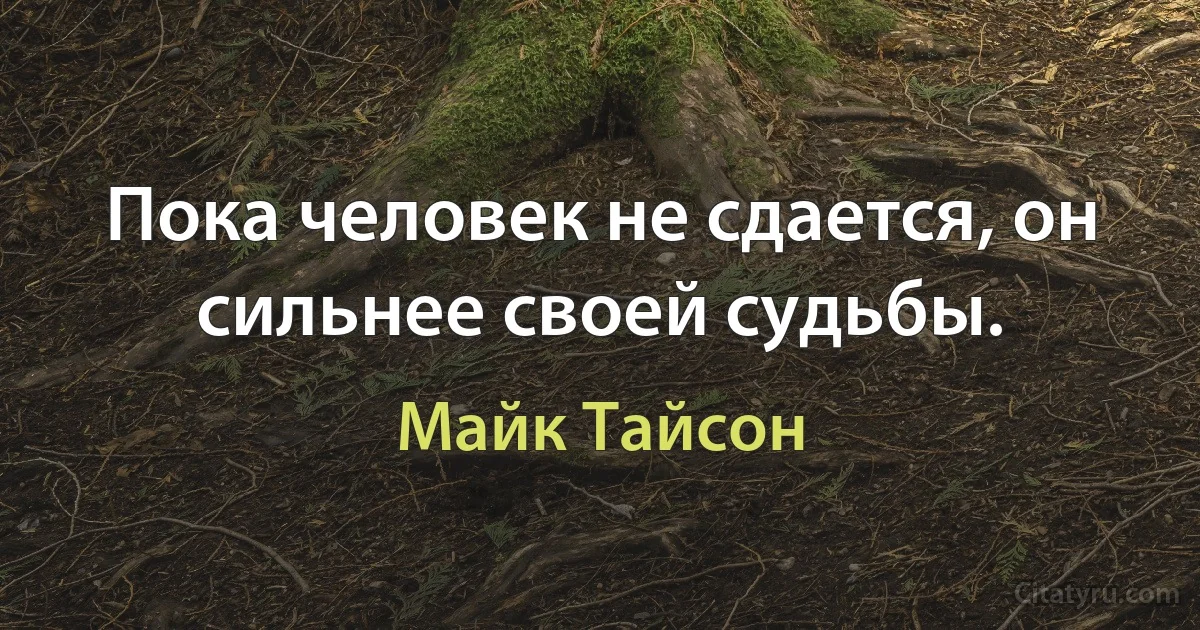 Пока человек не сдается, он сильнее своей судьбы. (Майк Тайсон)