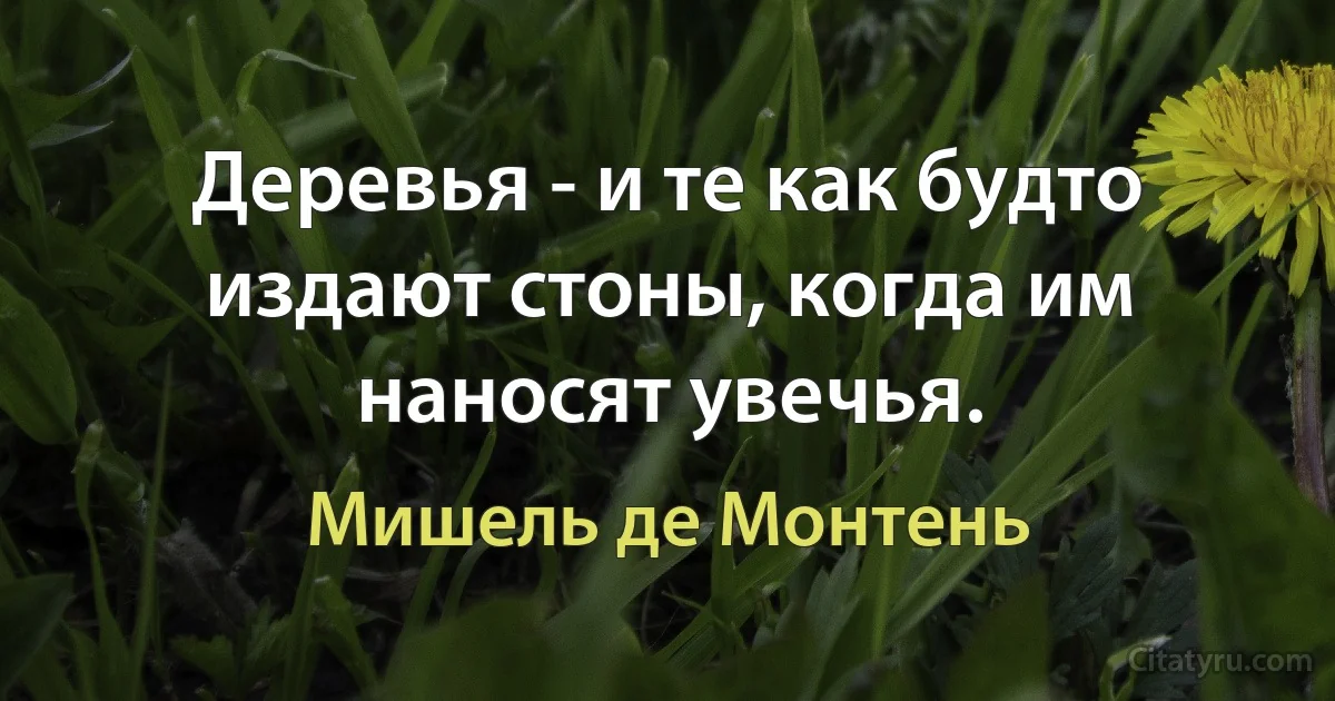 Деревья - и те как будто издают стоны, когда им наносят увечья. (Мишель де Монтень)