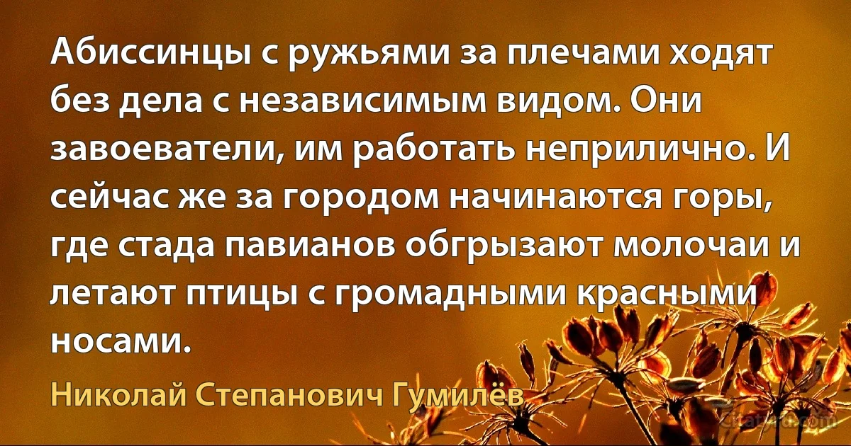 Абиссинцы с ружьями за плечами ходят без дела с независимым видом. Они завоеватели, им работать неприлично. И сейчас же за городом начинаются горы, где стада павианов обгрызают молочаи и летают птицы с громадными красными носами. (Николай Степанович Гумилёв)