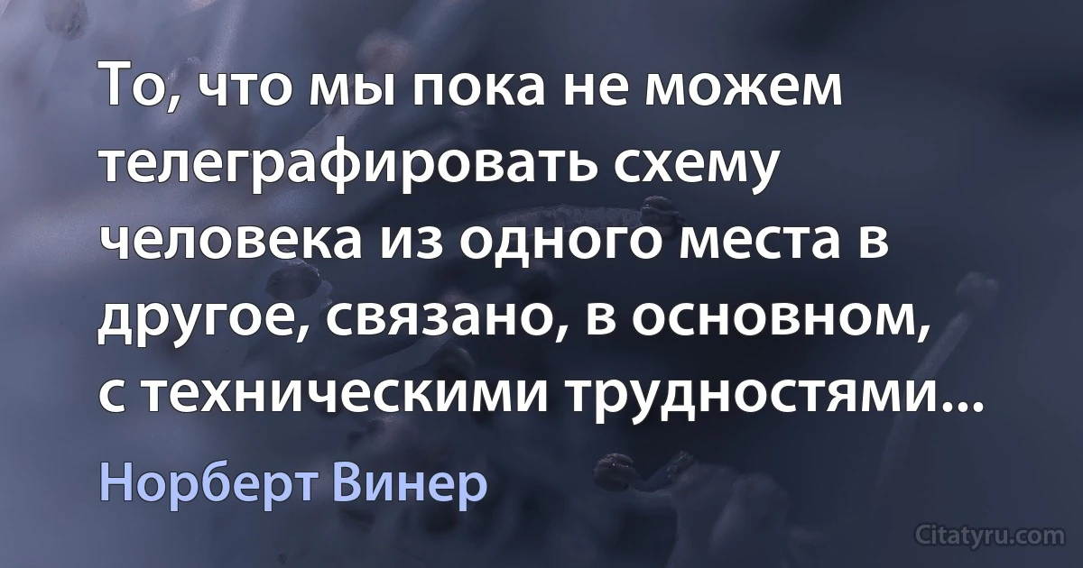 То, что мы пока не можем телеграфировать схему человека из одного места в другое, связано, в основном, с техническими трудностями... (Норберт Винер)