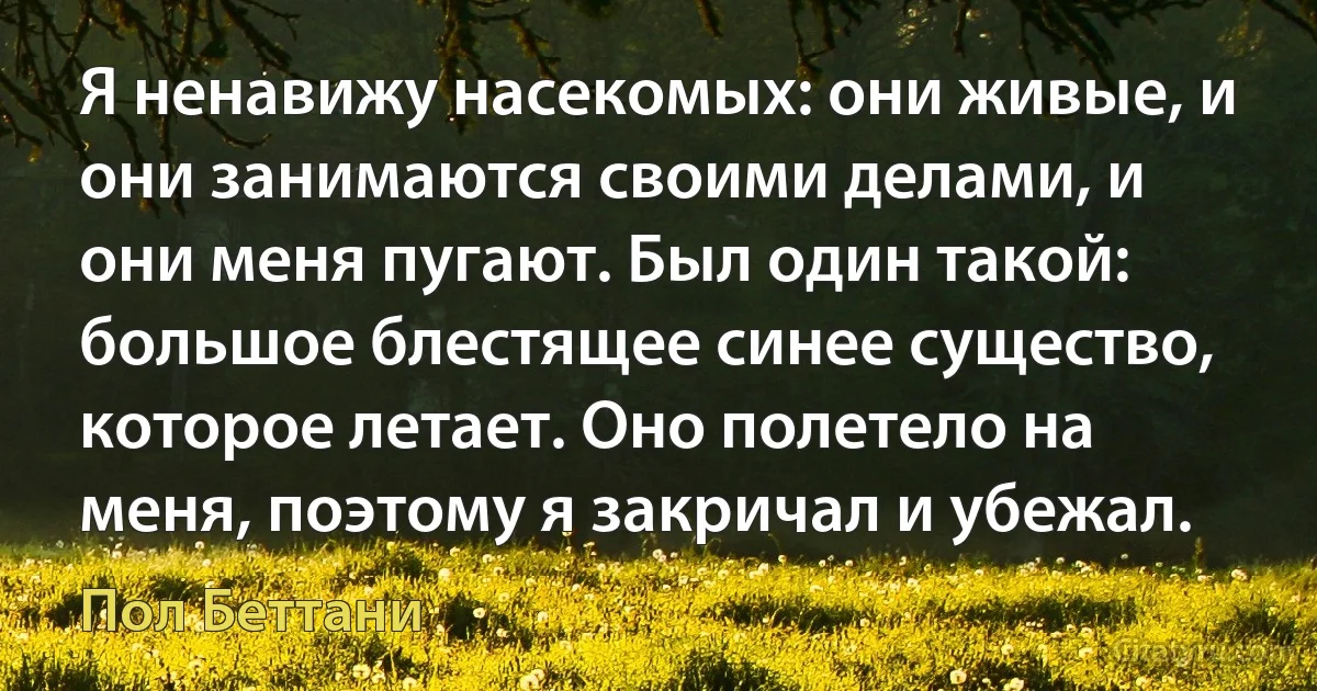 Я ненавижу насекомых: они живые, и они занимаются своими делами, и они меня пугают. Был один такой: большое блестящее синее существо, которое летает. Оно полетело на меня, поэтому я закричал и убежал. (Пол Беттани)