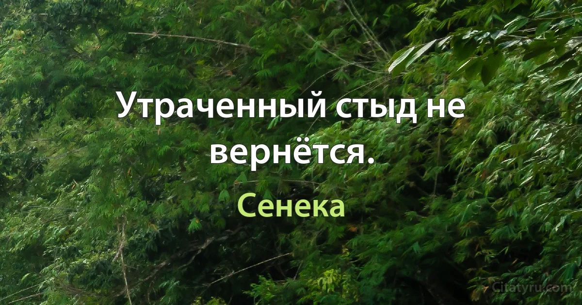 Утраченный стыд не вернётся. (Сенека)