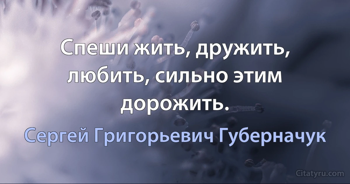 Спеши жить, дружить, любить, сильно этим дорожить. (Сергей Григорьевич Губерначук)