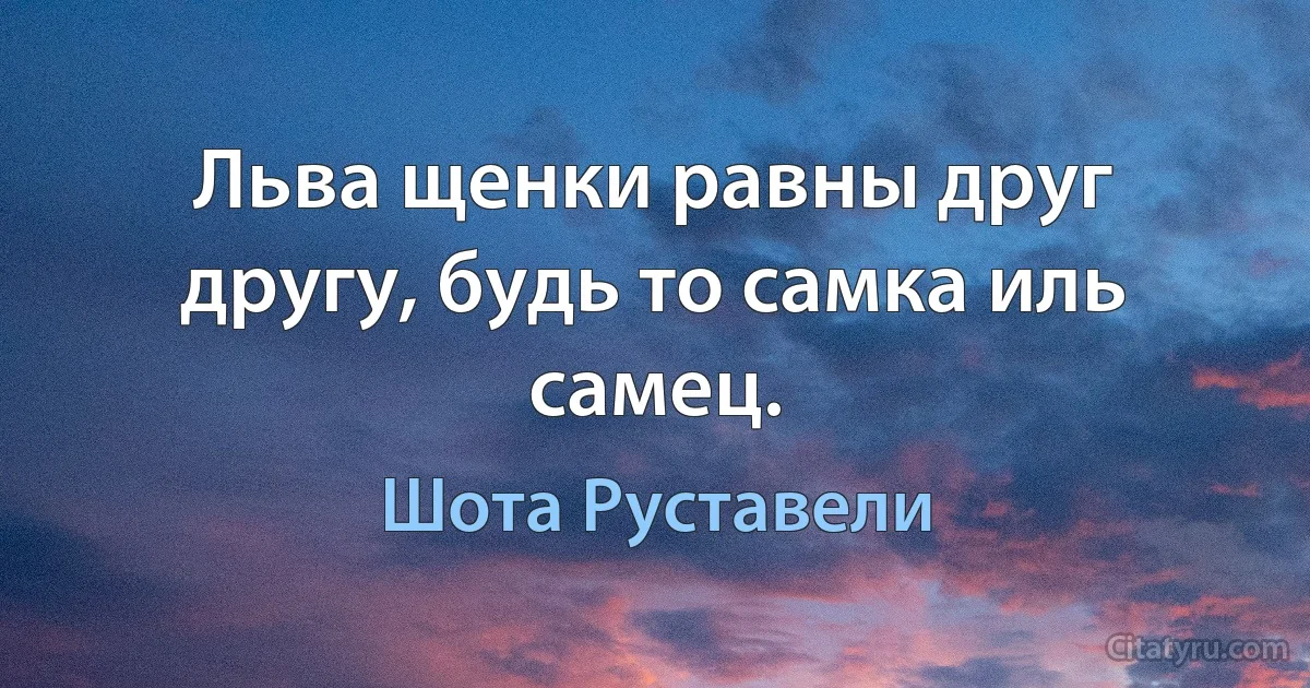 Льва щенки равны друг другу, будь то самка иль самец. (Шота Руставели)