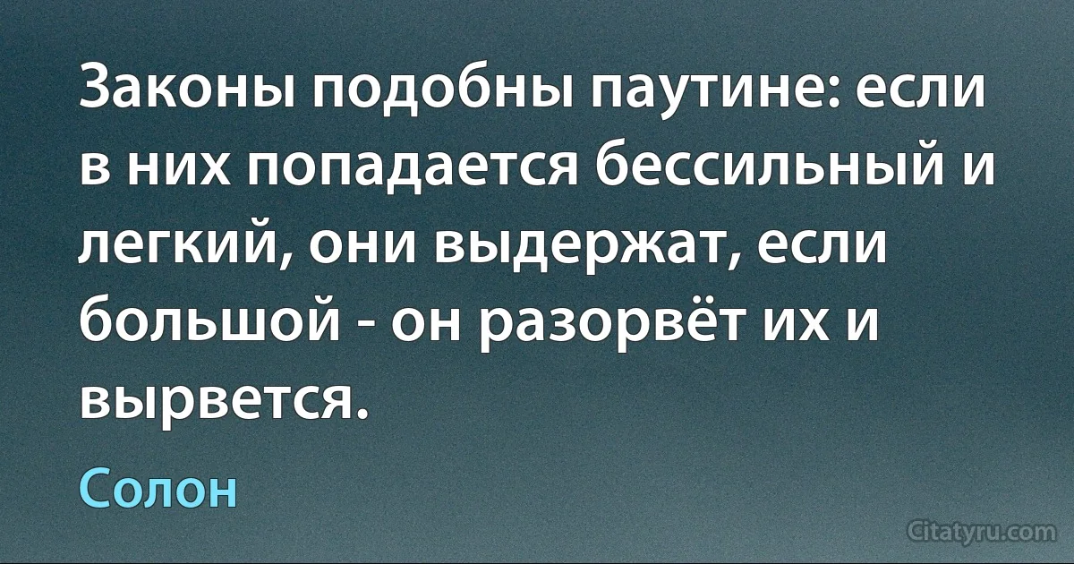 Законы подобны паутине: если в них попадается бессильный и легкий, они выдержат, если большой - он разорвёт их и вырвется. (Солон)